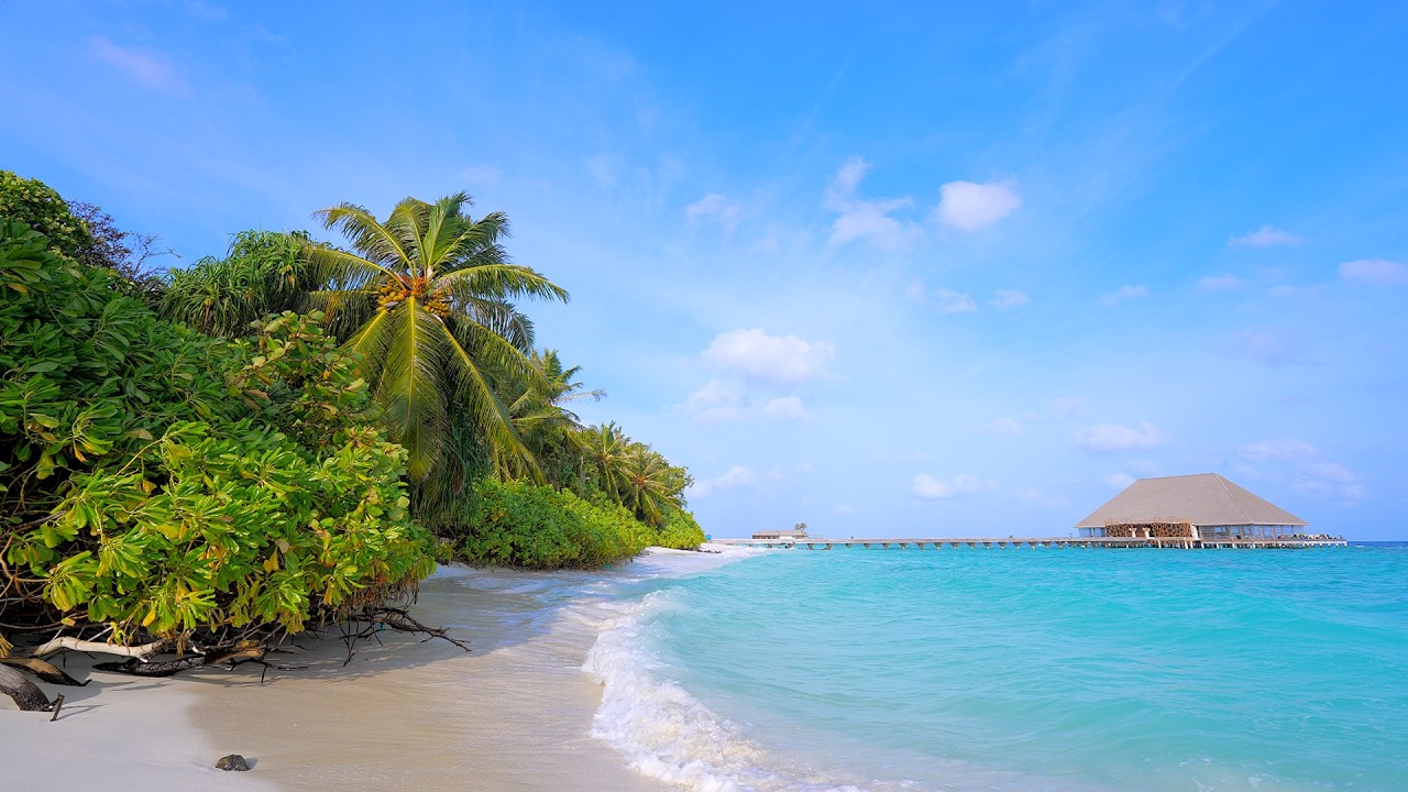Paradise Found: Turquoise Ocean Water and Wild Beach! Maldives 4K ULTRA HD