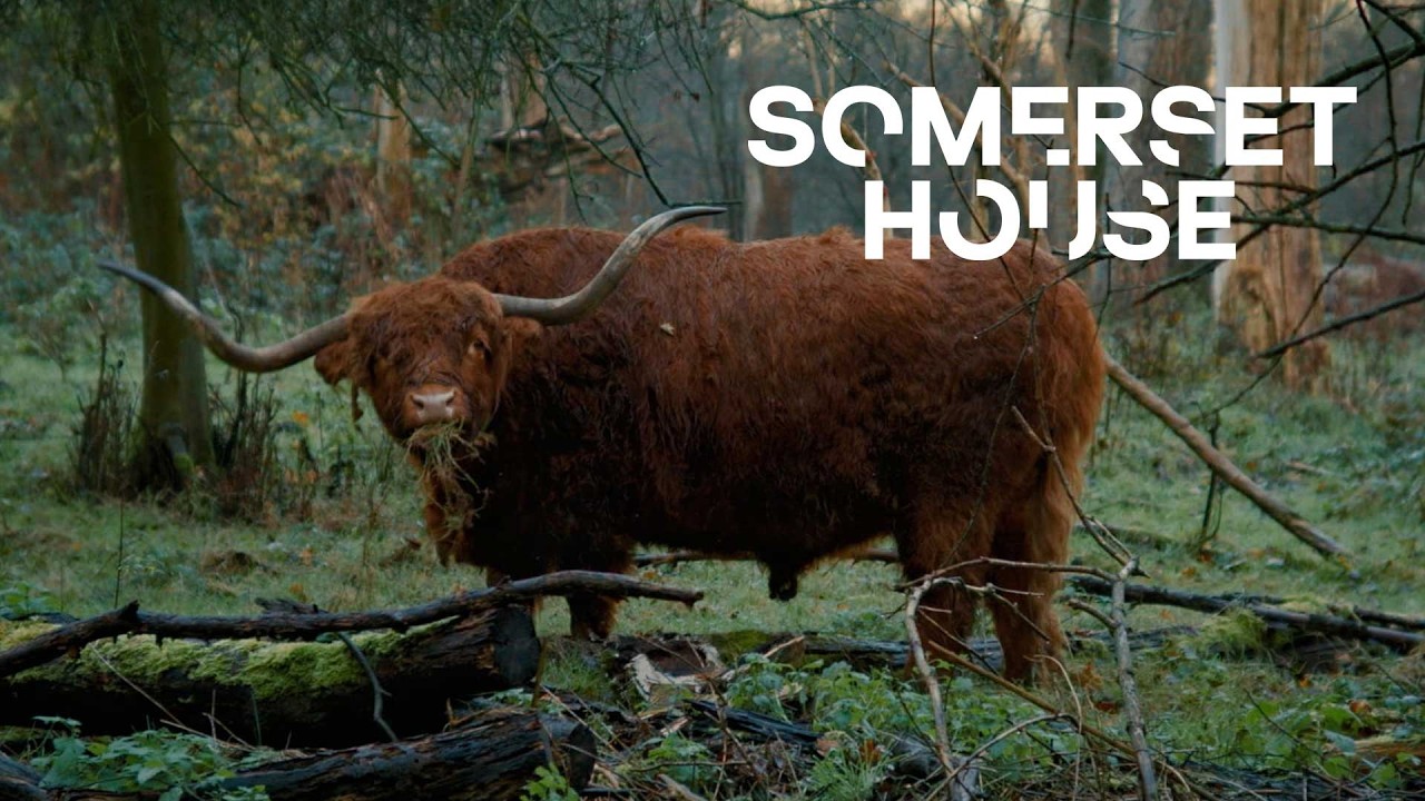 Soil: The World at Our Feet