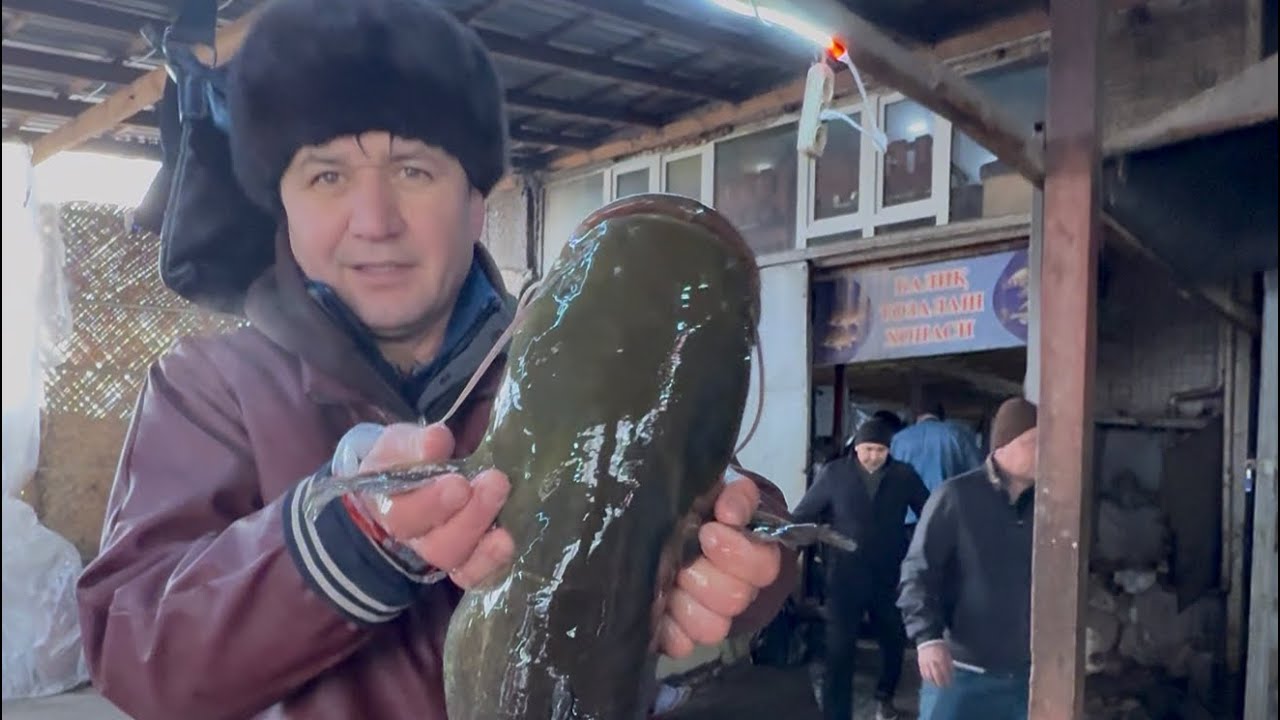 19 января 2026 г.  XORAZM BALIQ BOZORI URGANCH SHAHAR😉