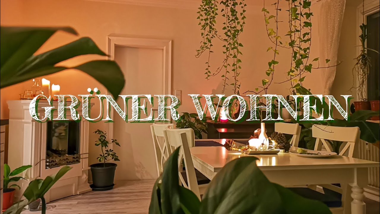 GRÜNER WOHNEN 🌱 KNAPP 60 PFLANZEN in der Wohnung! WIE geht das? Pflanzeninventur. INDOOR JUNGLE 💚