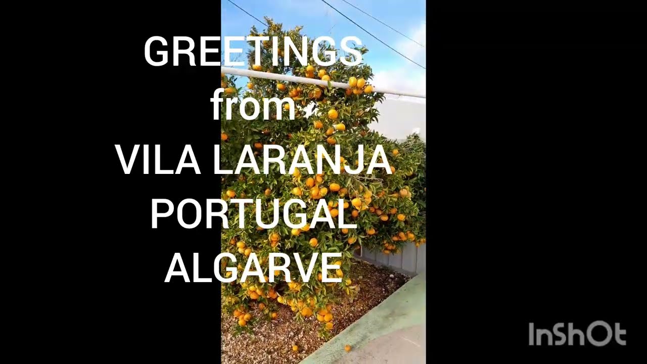 PORTUGAL Algarve Garden of Vila Laranja January 2026Area of Fuseta. Tangerins, Oranges, Lemon