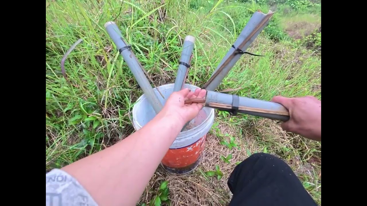 Một buổi bẫy lươn đồng Tập 1