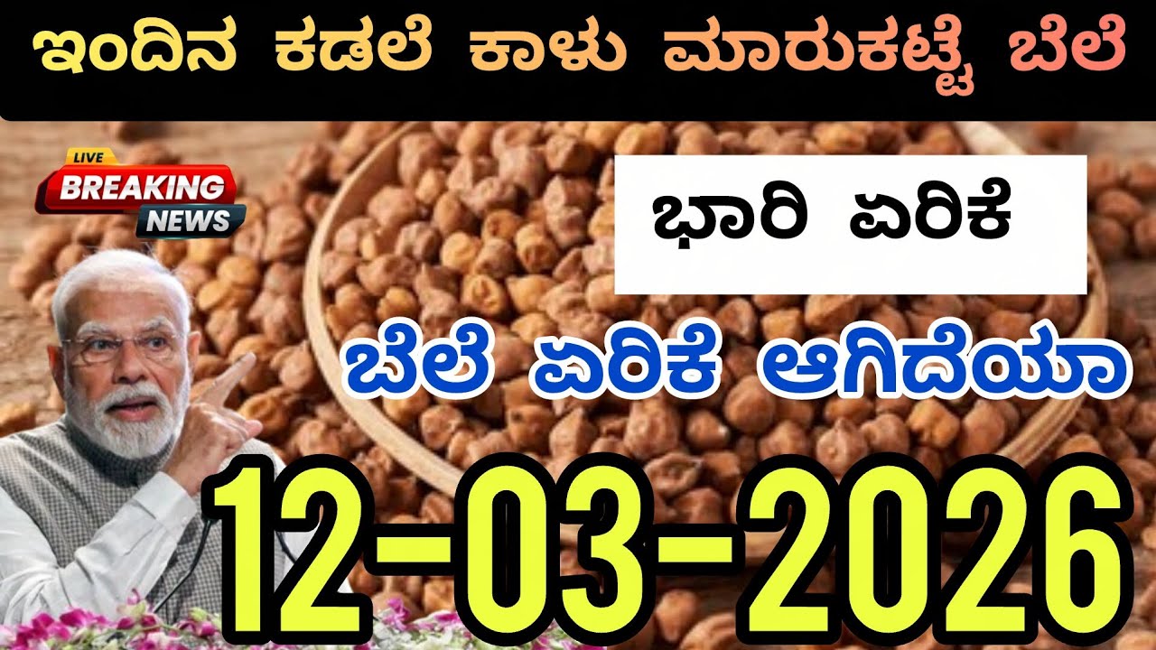 Today Chickpea Market Rate | 12-03-2026 | ಕಡಲೆ ಕಾಳು ಮಾರುಕಟ್ಟೆ ಬೆಲೆ #chickpea #marketing #todaymarket