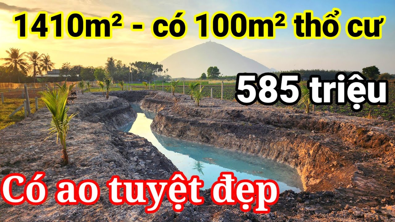 Đất vườn nghỉ dưỡng có ao nước trong xanh 1410m2 có thổ cư giá chỉ 585 triệu | Hoàng Minh BĐS 