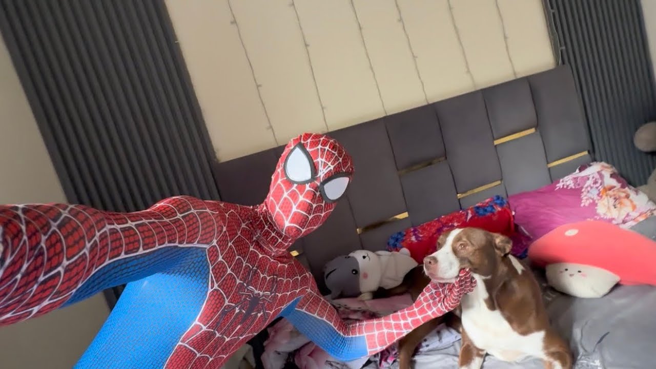 SPIDER-MAN COSPLAY PRANK ON MY DOG! 🐶 