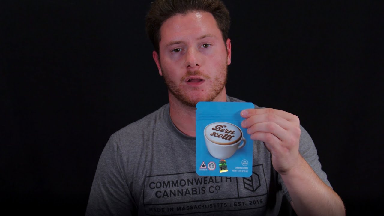 Bernscotti Strain Review by CommCan