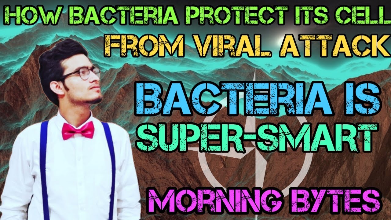 Restriction Modification System | Bacteria खुद को Virus/Phage से कैसे बचाता है? Morning Bytes