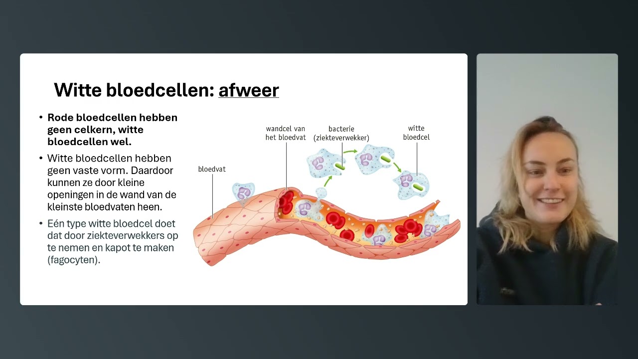 HVG2 - Biologie voor Jou - Thema 3.1: Bloed
