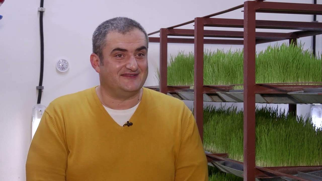 Proizvodnja ZDRAVOG soka od SPELTE - U nasem ataru 990