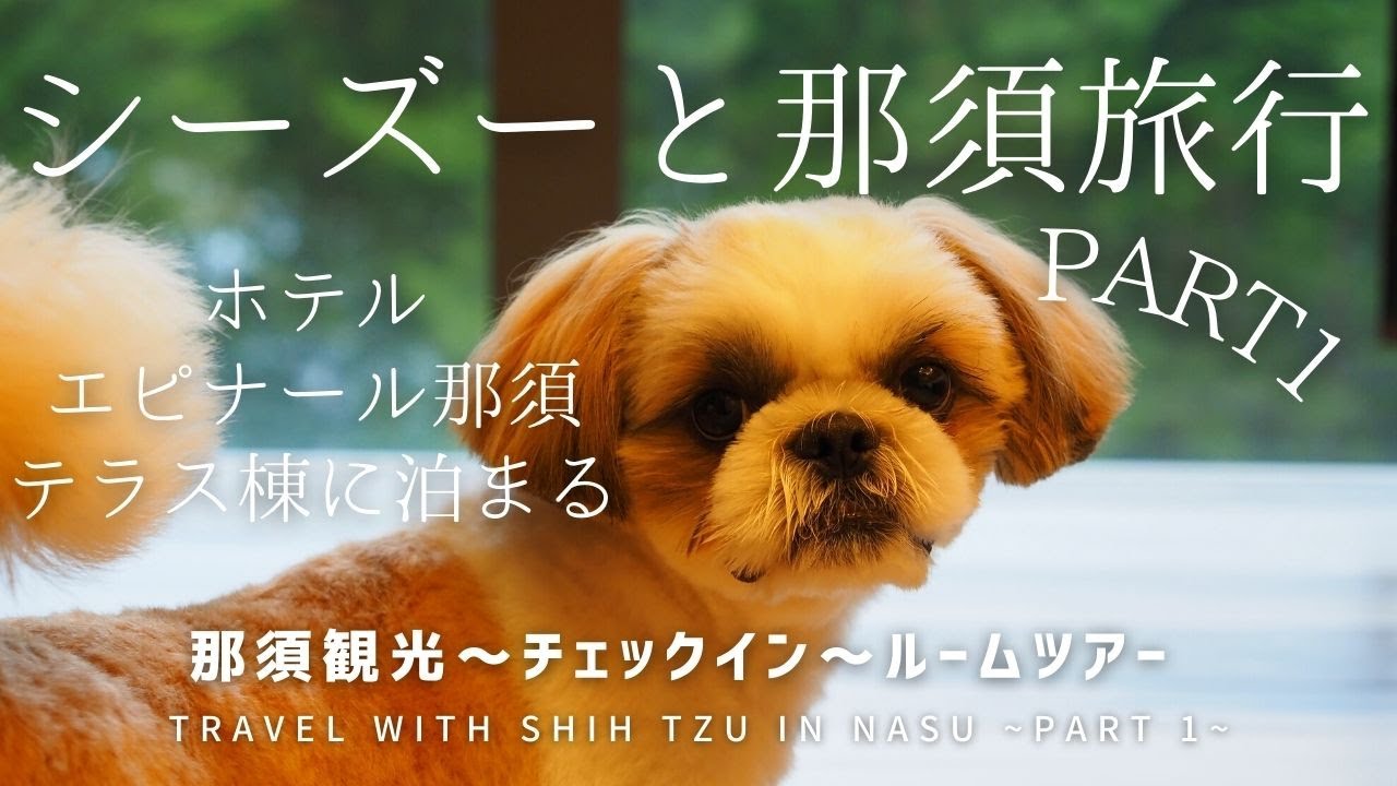 全6部屋の離れに愛犬と泊まれる宿・ホテルエピナール那須に宿泊！【シーズーと初めての1泊旅行】PART１/Travel with Shih Tzu in NASU