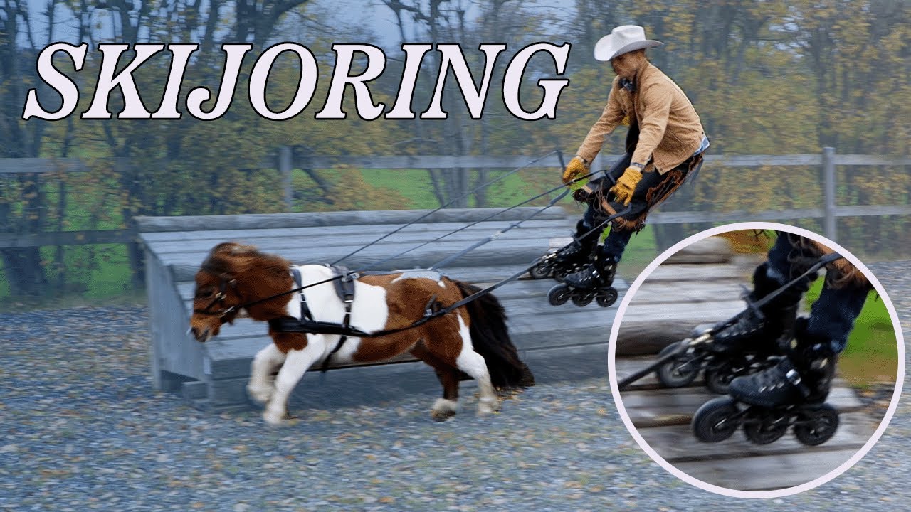 Pony-cowboy goes skijoring on rollerblades