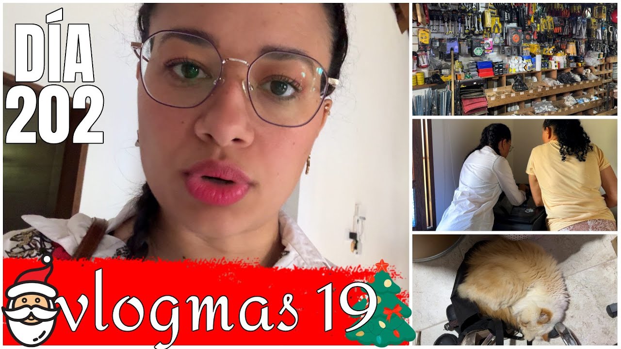 Vlogmas 19: Qué pasó con los otros gatos que tenía + Por fin se logró la misión imposible |Vlog #202