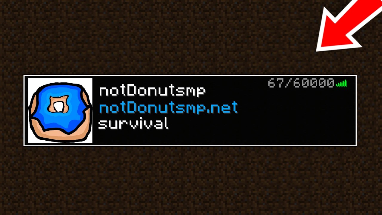 I Opened A FAKE DonutSMP server