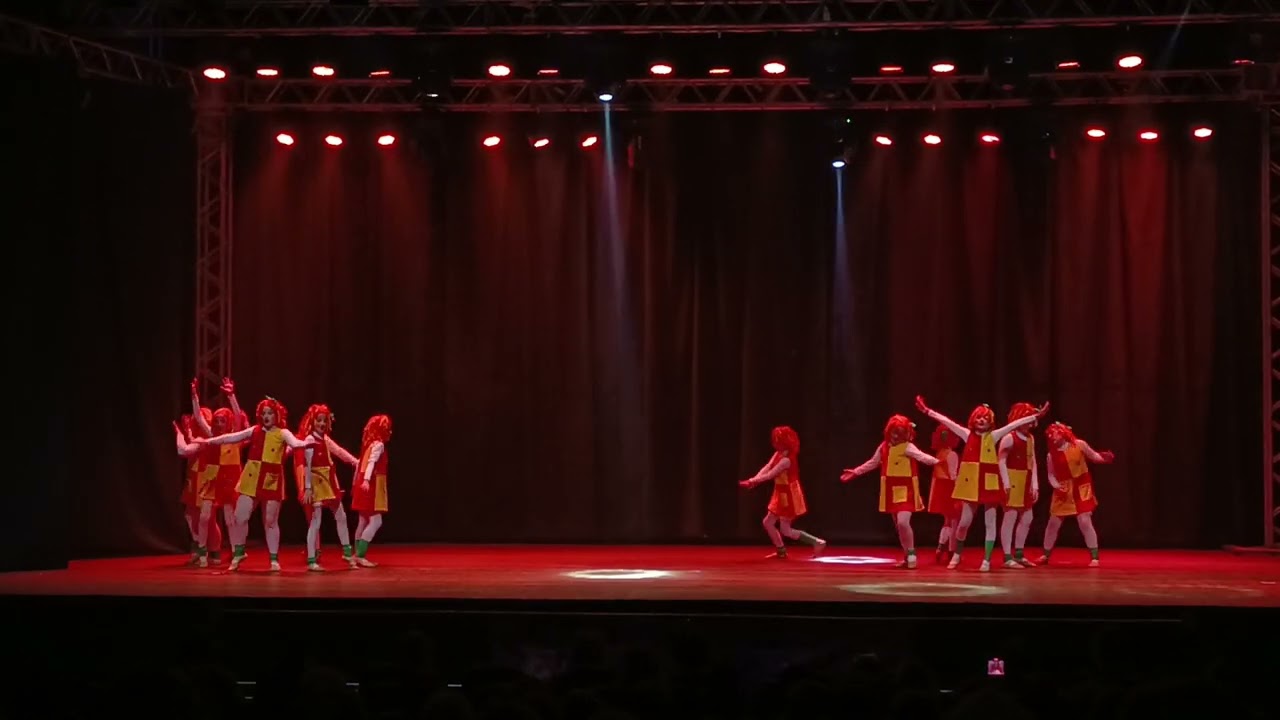 Santa Rosa em Dança 2025, Coreografia 