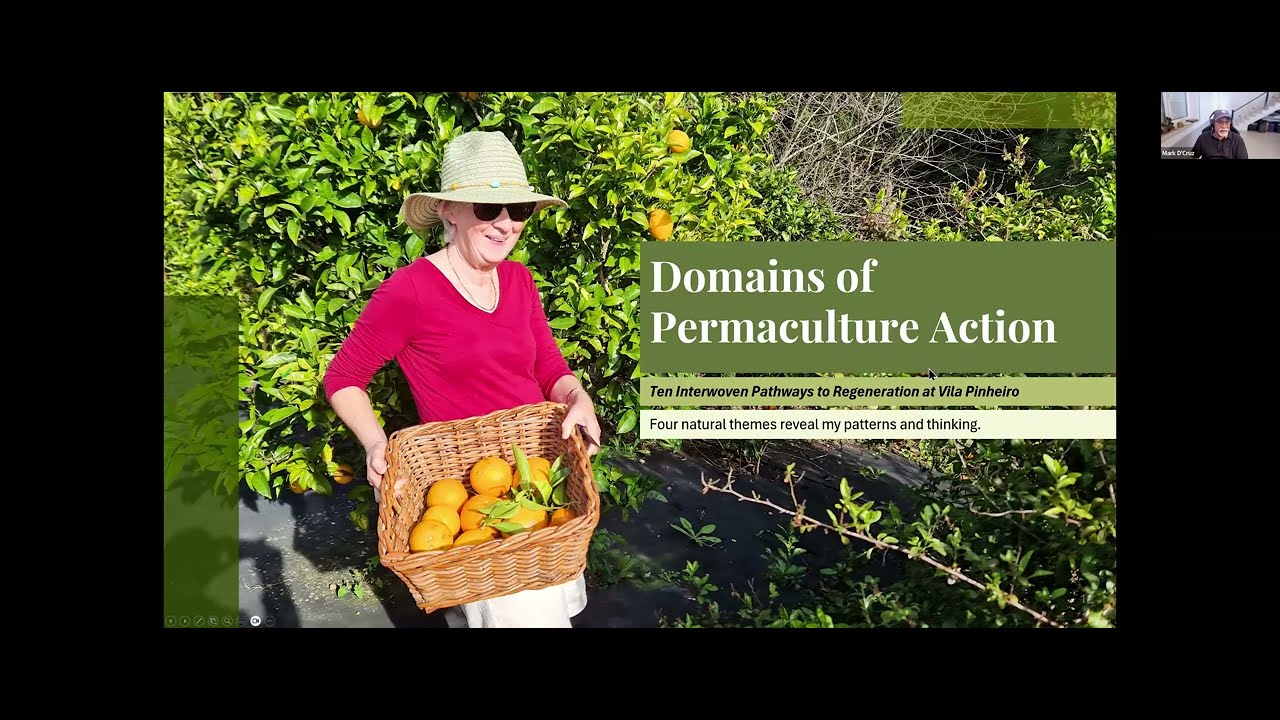 Vila Pinheiro: My Permaculture Diploma Journey