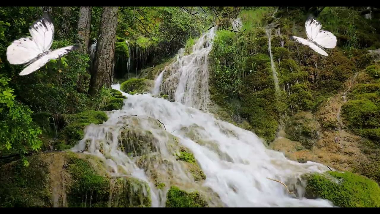 Sleep Music for Anxiety Relief 🌌 Relaxing Night Sounds