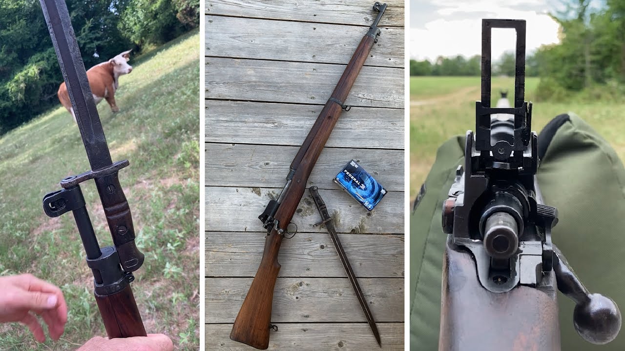Enfield P14 .303 British