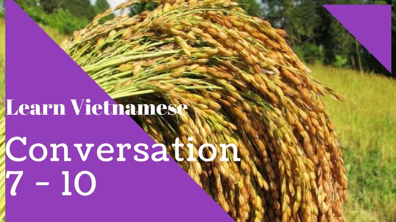 Learn Vietnamese: Conversation 7 - 10
