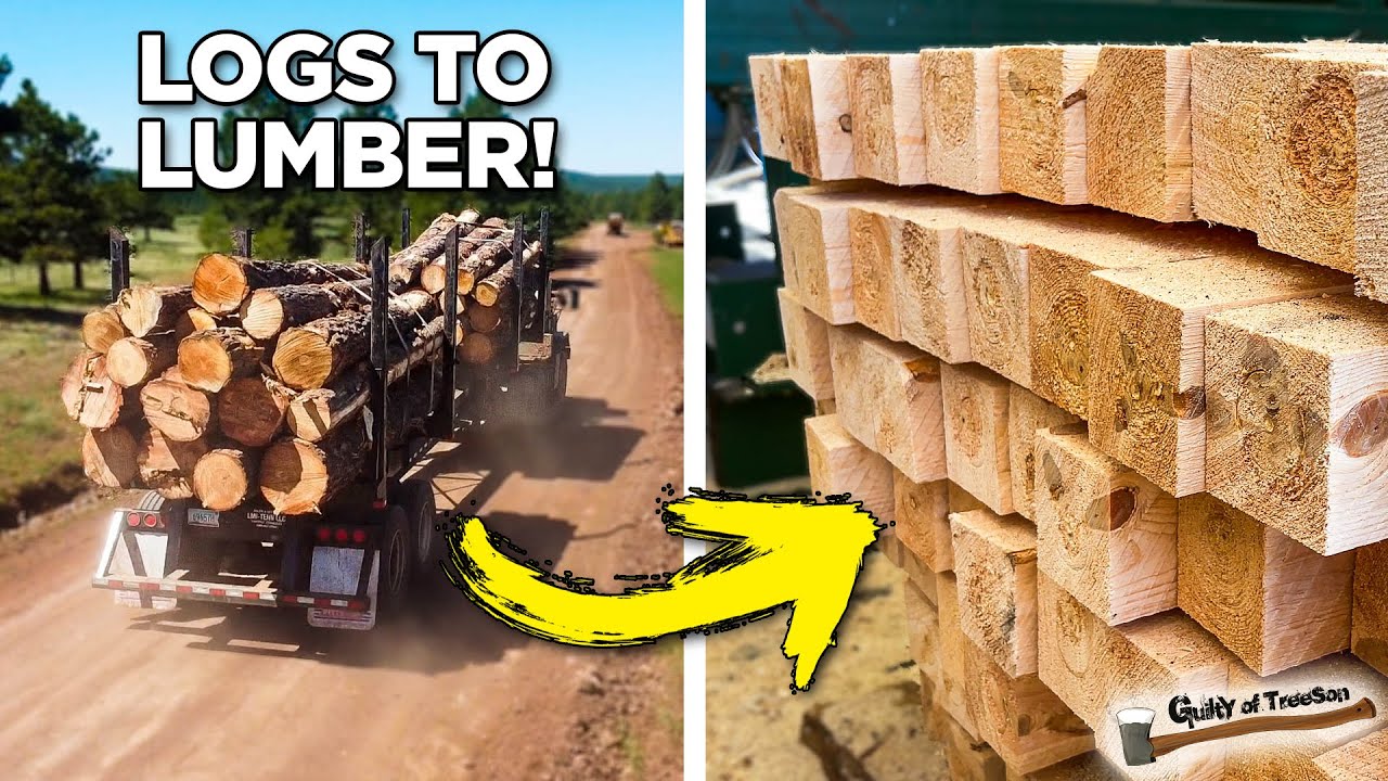 Trees In The Morning, Lumber In The Afternoon!