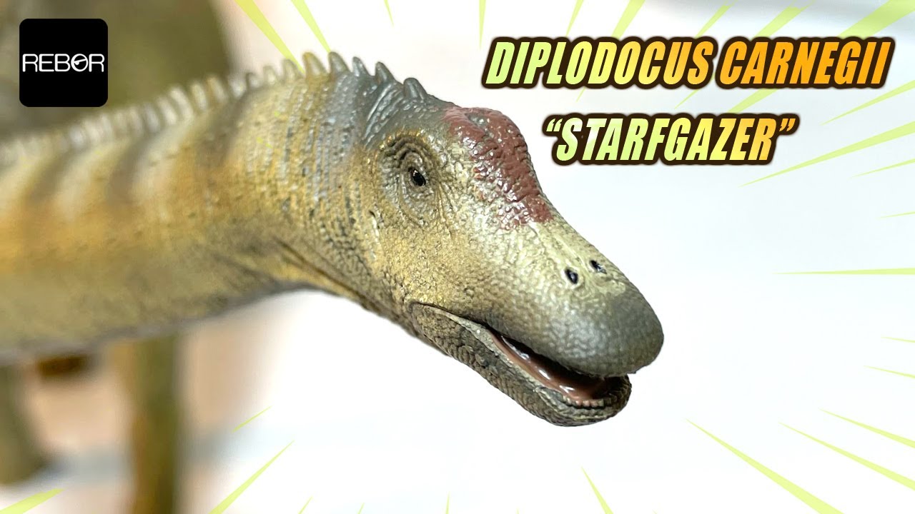 REVIEW UNBOXING DIPLODOCUS CARNEGII 