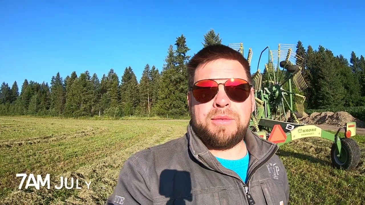 Part 2 Making 2nd cut alfalfa hay 🚜