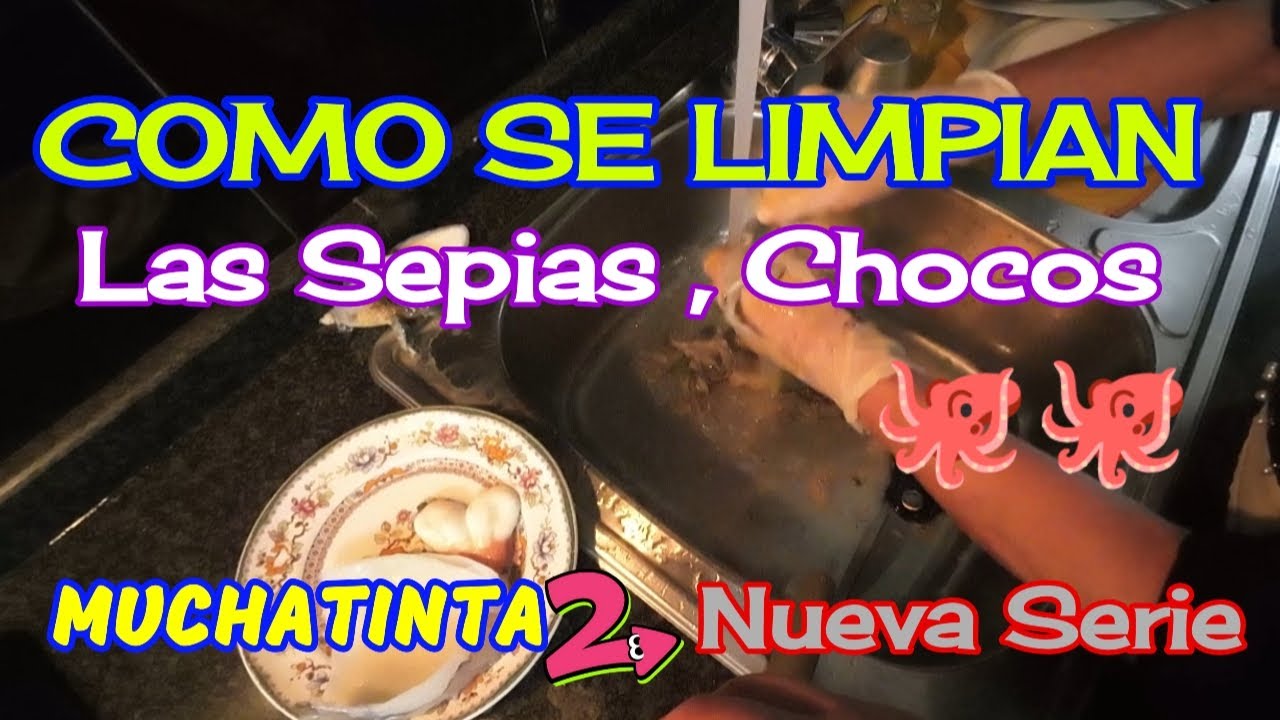 Como limpiar  Chocos, Sepias 🐙🐙