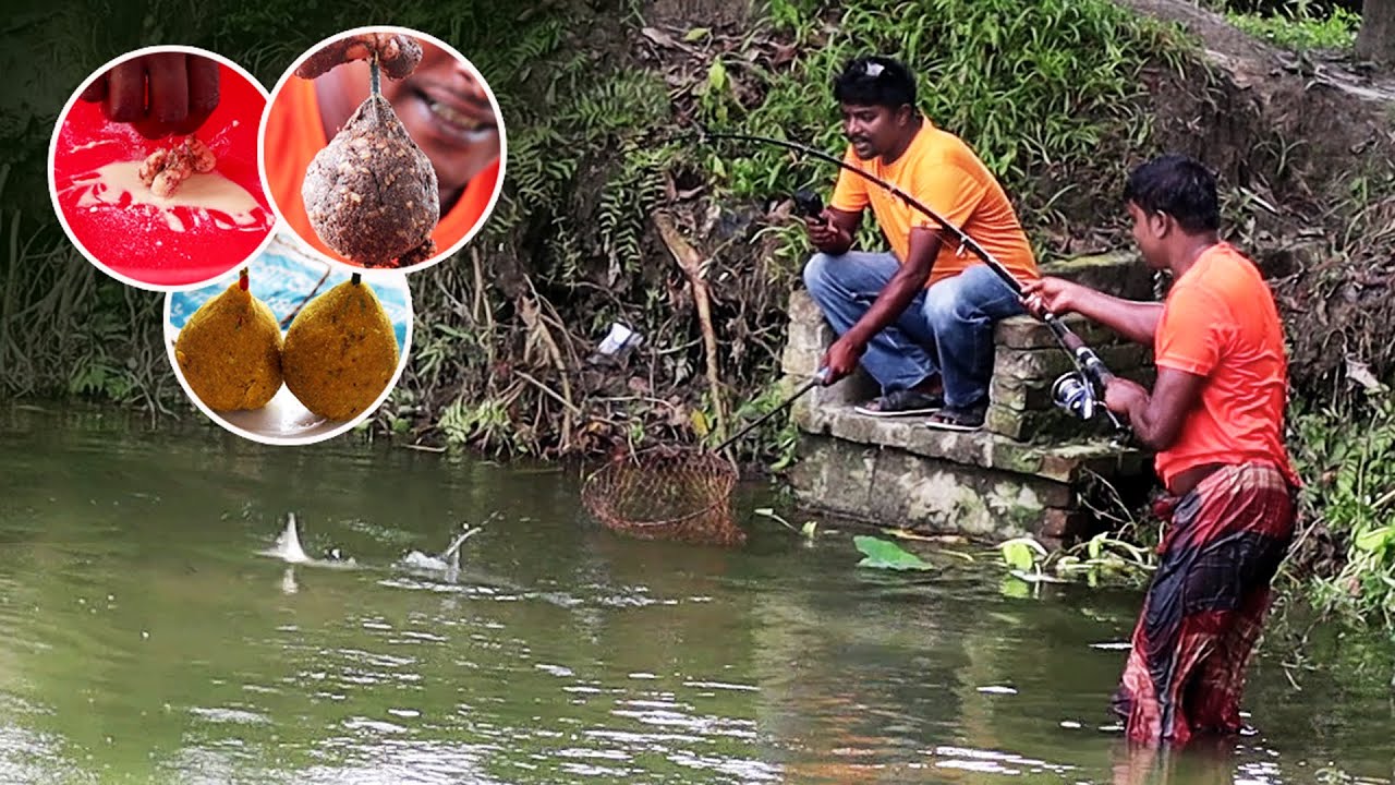 বড় রুই ও কাতলা ধরার বেস্ট চার টোপ ও লেপিং | Best Fishing Bait | A to Z