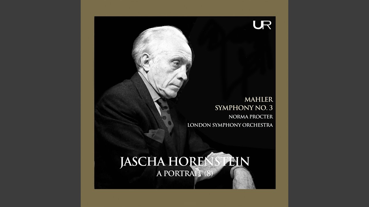 Symphony No. 3 in D Minor: VI. Langsam. Ruhevoll. Empfunden