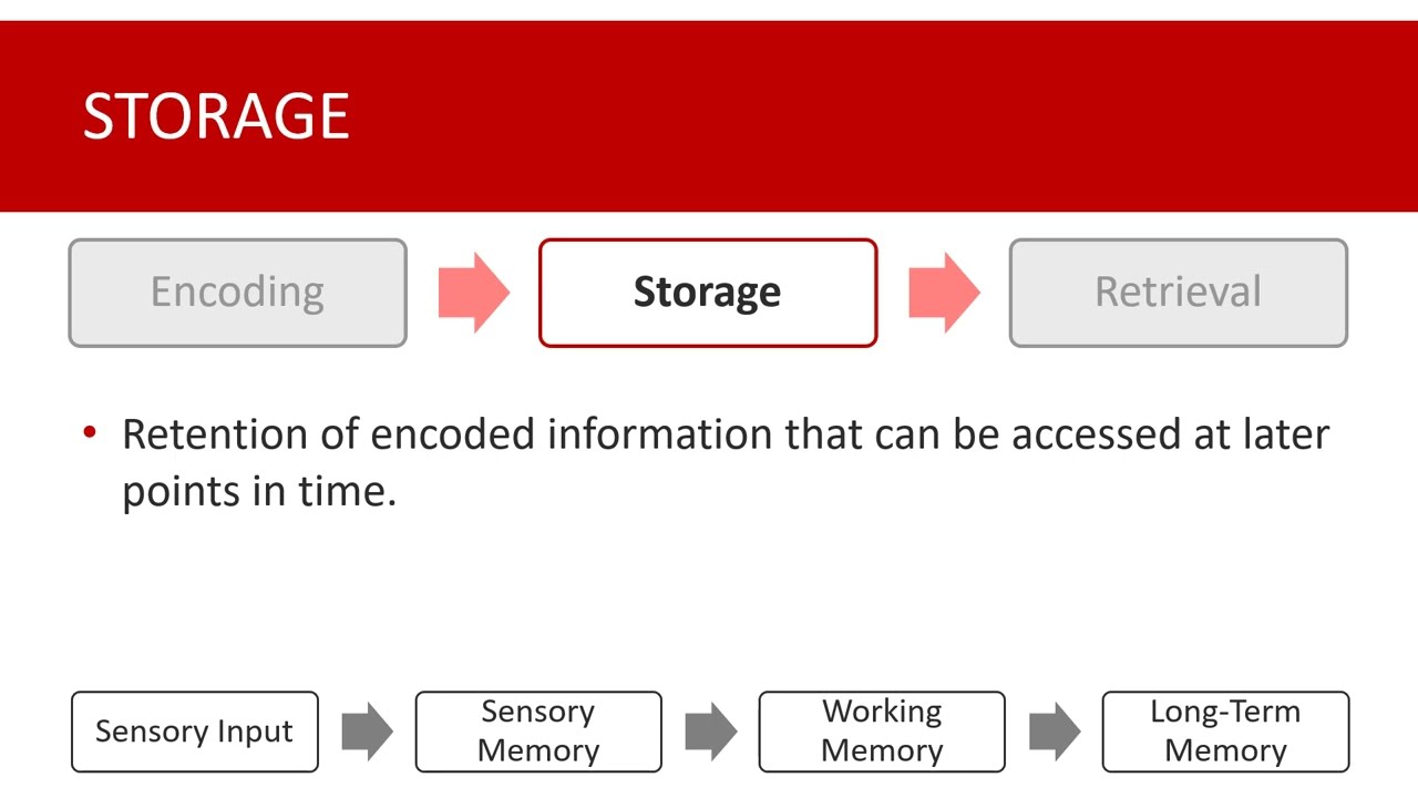 Memory - Storage