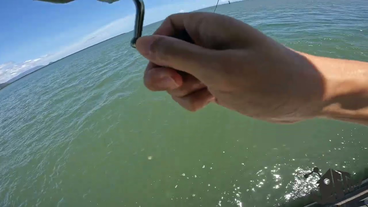 Cairns land based trevally 16Jan2022 @Marlin Marina