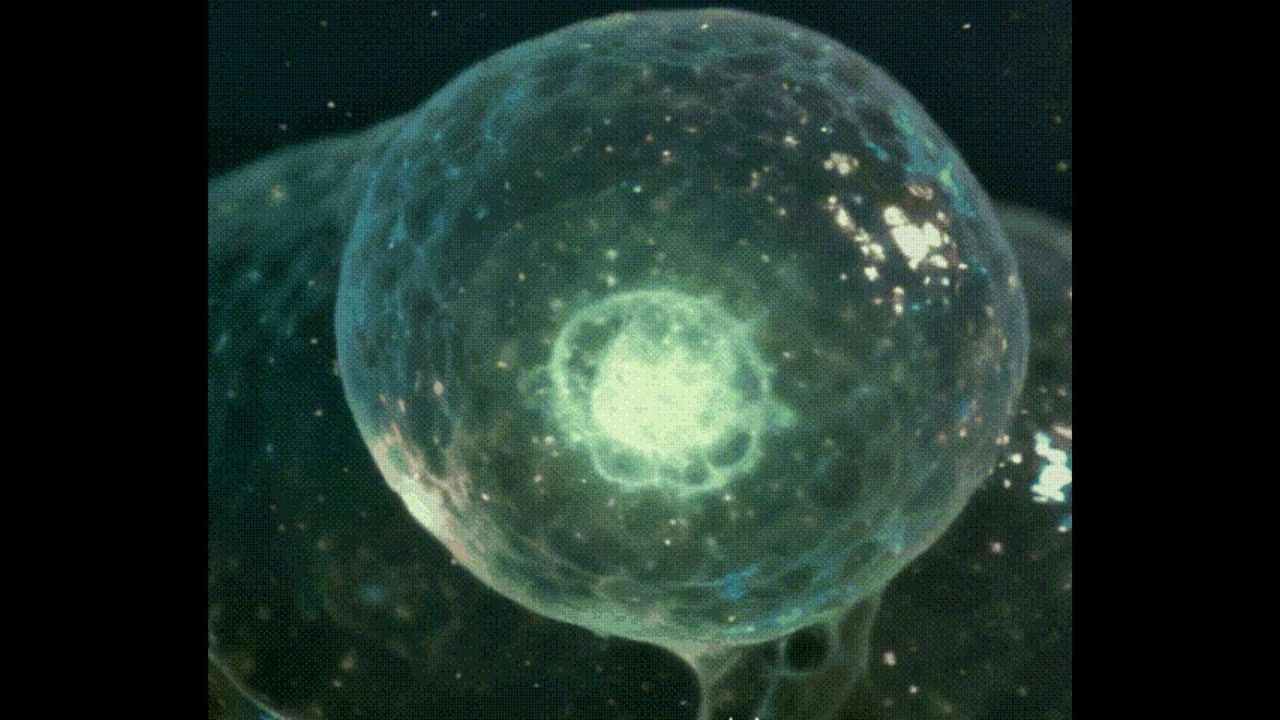 FRAGMENT_LOGS : LOG_01 // Primordial Nucleus [Ambient / Psybient 432Hz]