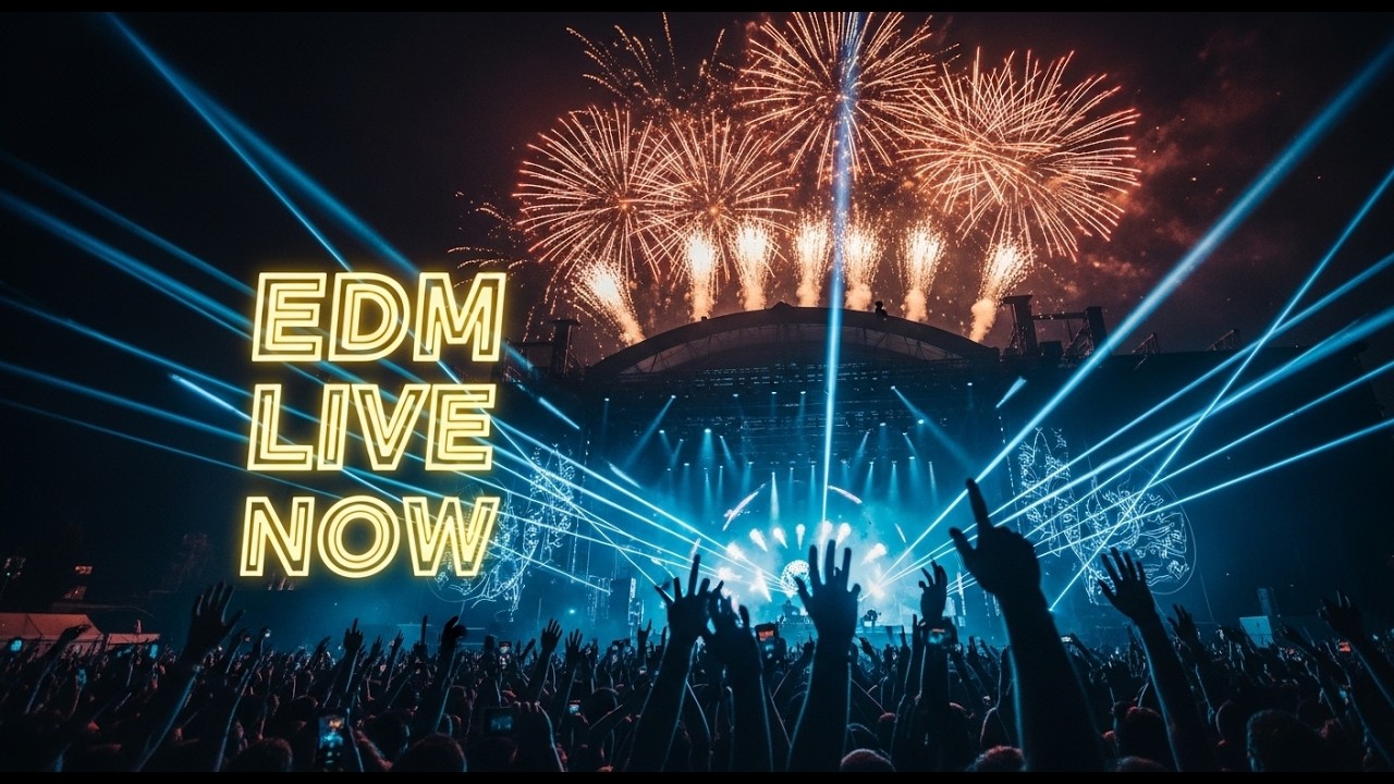 🔥 Miami Night EDM — Heavy Bass Live Stream