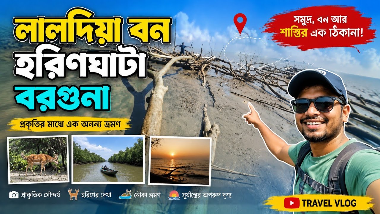 মিনি সুন্দরবন বরগুনা | Mini Sundorbon in Bangladesh | Laldiya forest borguna 