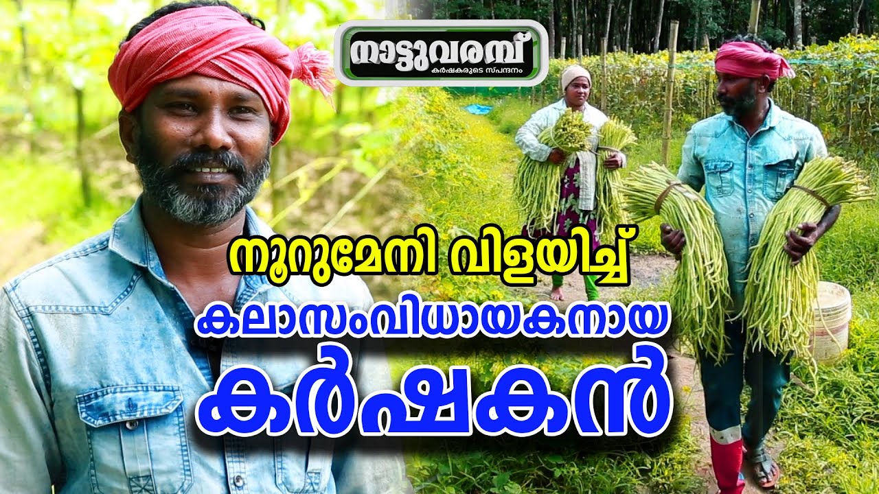നൂറുമേനി വിളയിച്ച് കലാസംവിധായകനായ കര്‍ഷകന്‍ | ORGANIC FARMING KERALA | NATTUVARAMBU | JANAM TV
