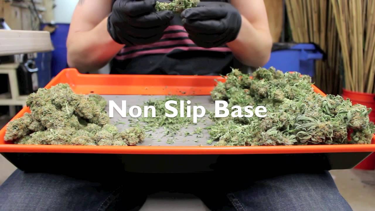 TrimTray Review | It worked much better than other types | Trim Tray In Action DEMO Trimming Buds