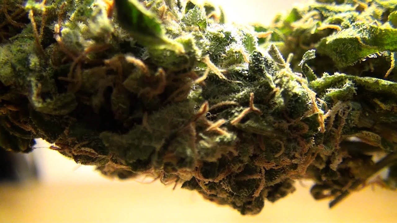 Outdoor Kush And Indoor Sour Diesel Review (HD)