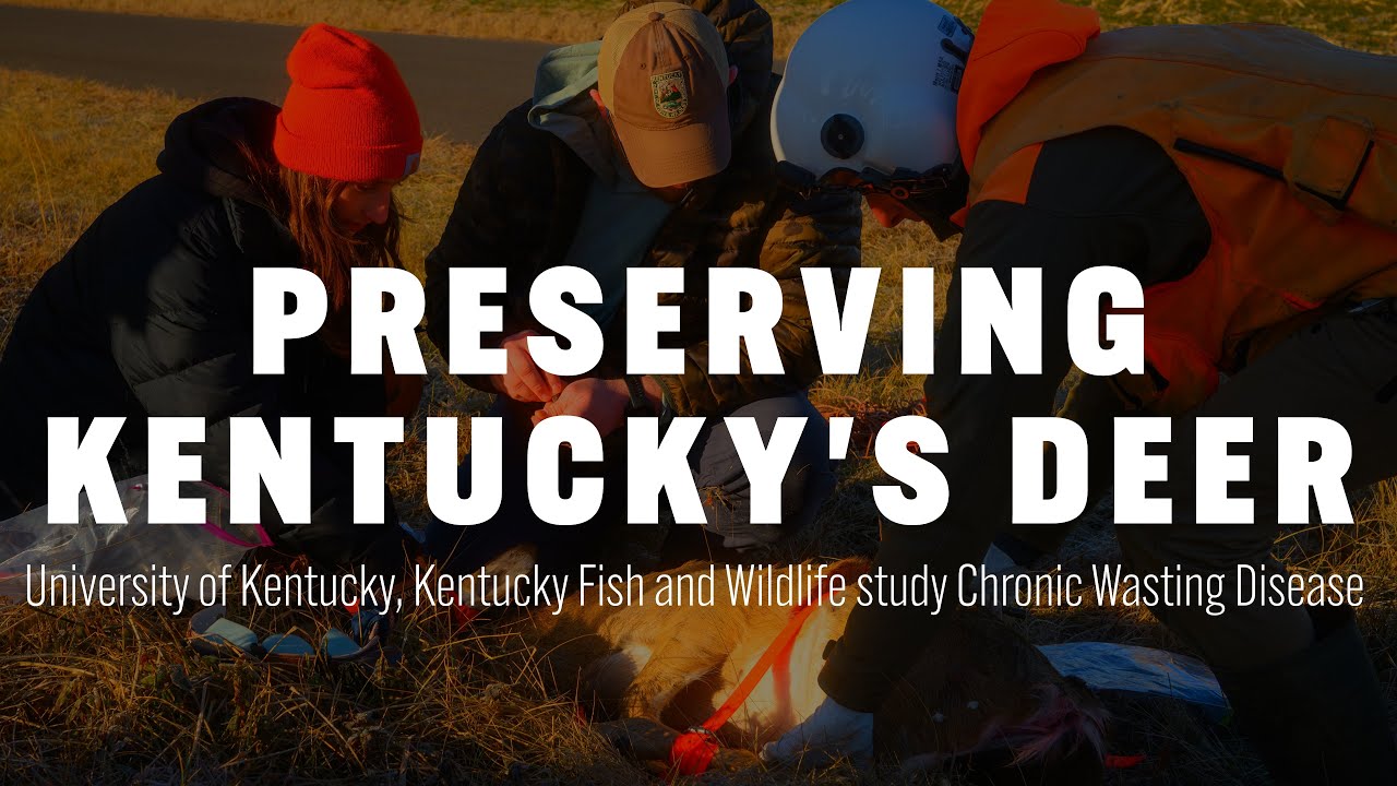 Preserving Kentucky's Deer: University of Kentucky, Fish and Wildlife study Chronic Wasting Disease
