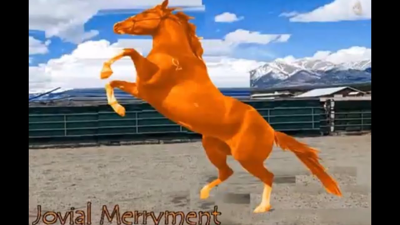 ALWAYS BET ON WINNING HORSES