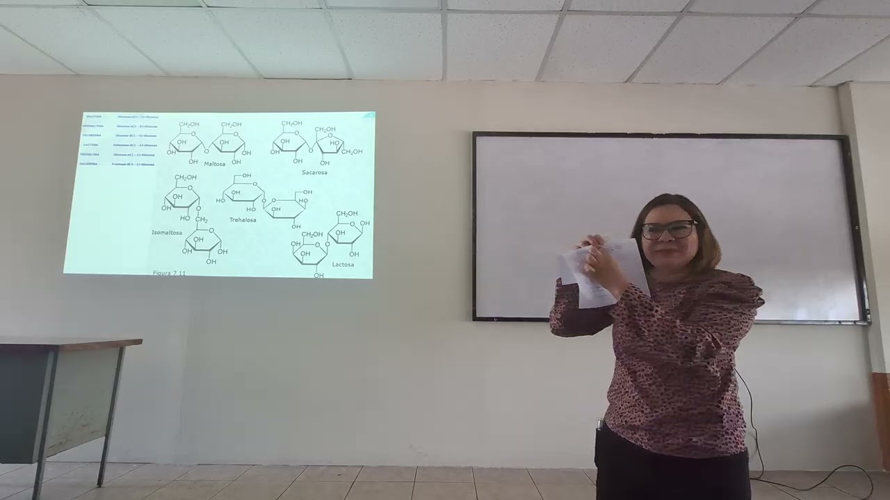 Carbohidratos 5 