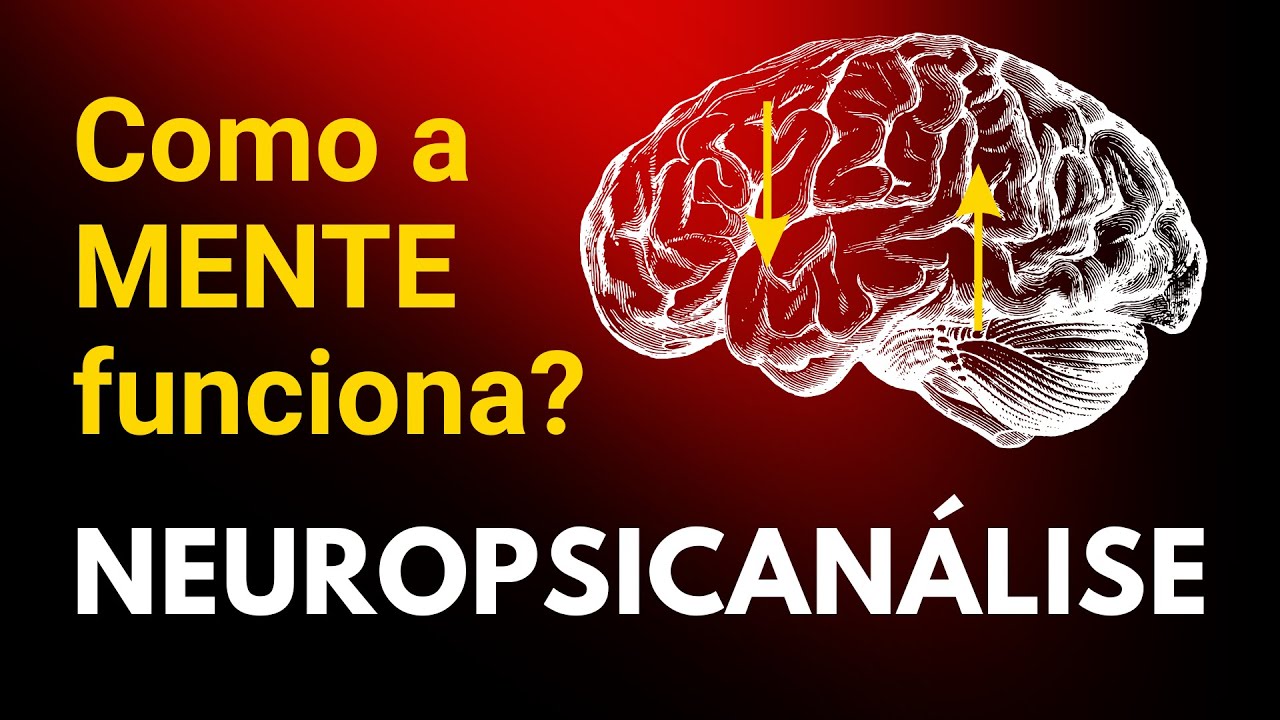 Neuropsican&aacute;lise: Como a Mente Funciona?