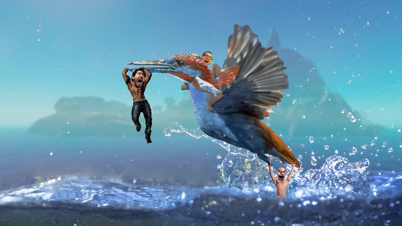 birds&hellip; | Raft