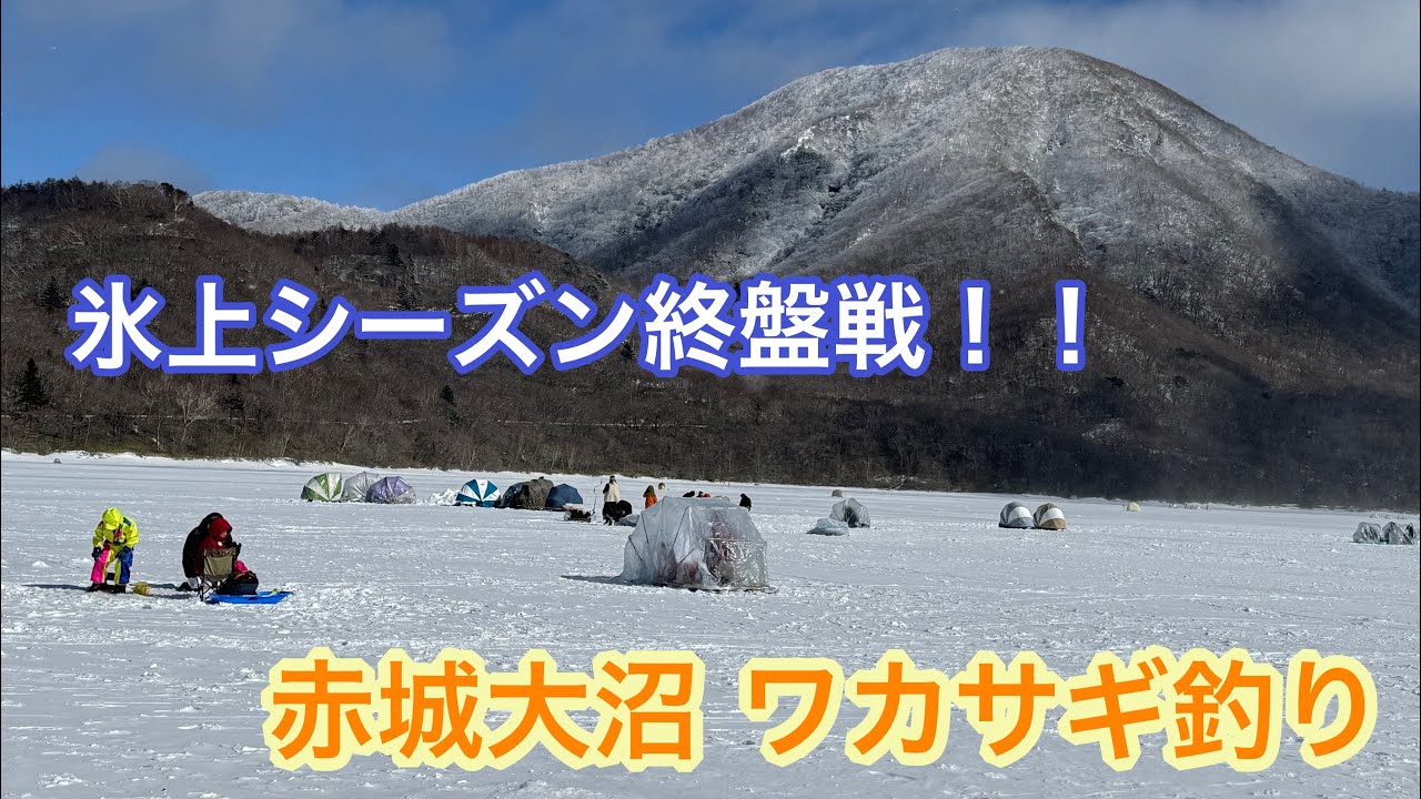 【ワカサギ釣り】今年はもう終わり？氷上ワカサギシーズンラストの赤城大沼【釣り女子】