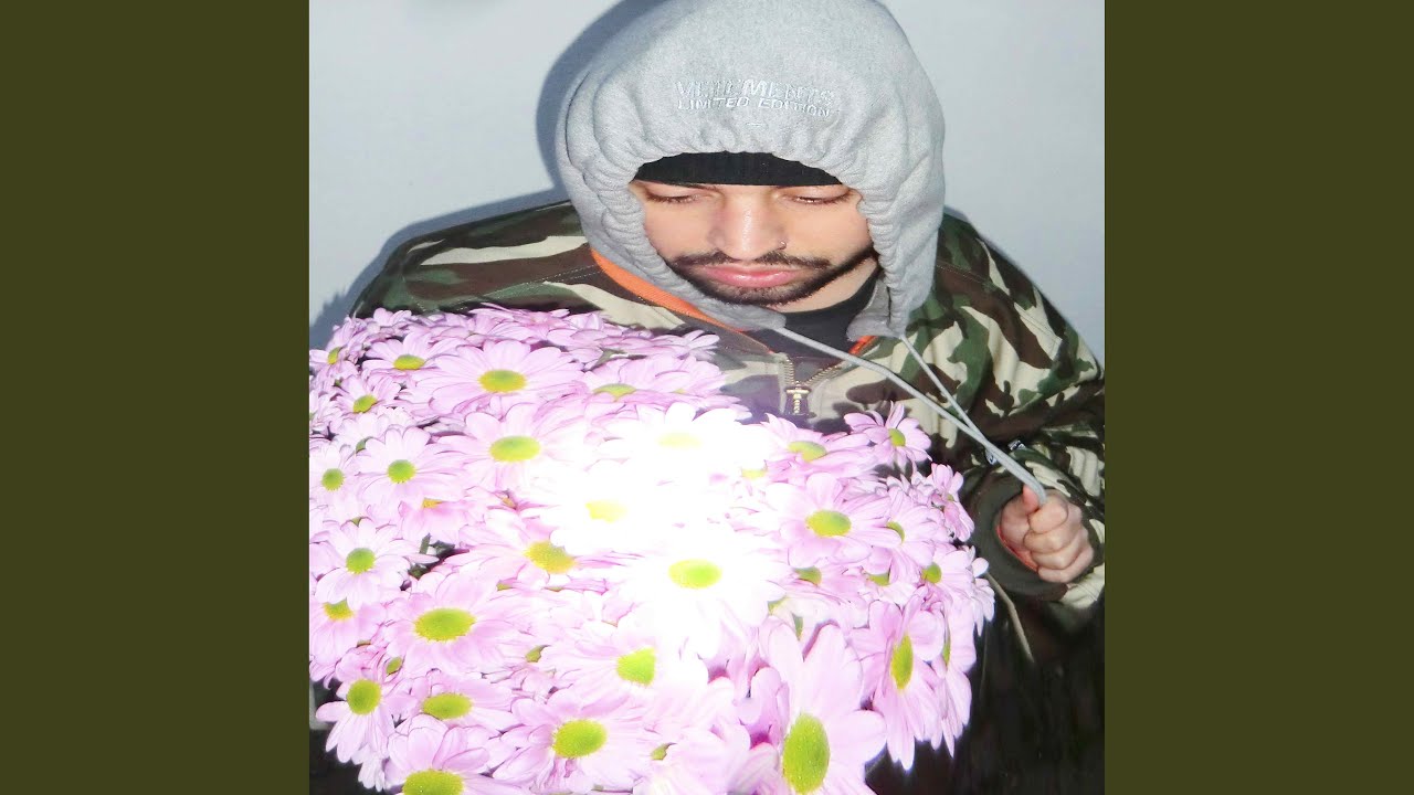 Chrysanthemen