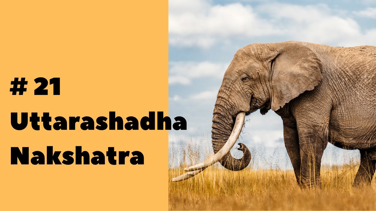 Nakşatralar #21 Uttarashadha Nakshatra
