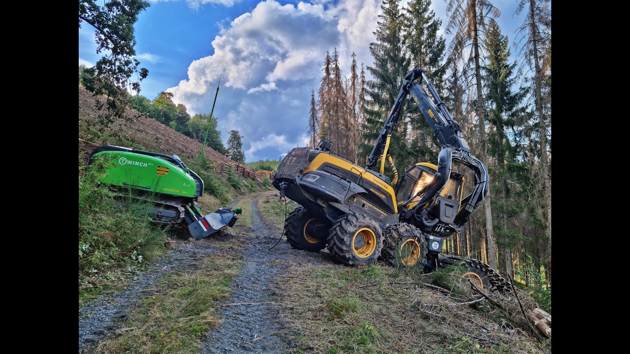🌲Ponsse ScorpionKing & Buffalo & T.Winch 10.1 • Ponsse Logging • Steilhang • Slope • Forest Video 🌲