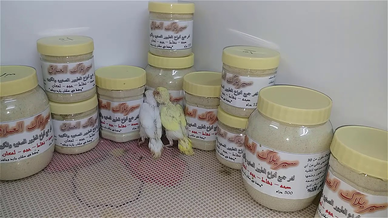 طريقة الغر بالملعقه .. غر فروخ البادجي