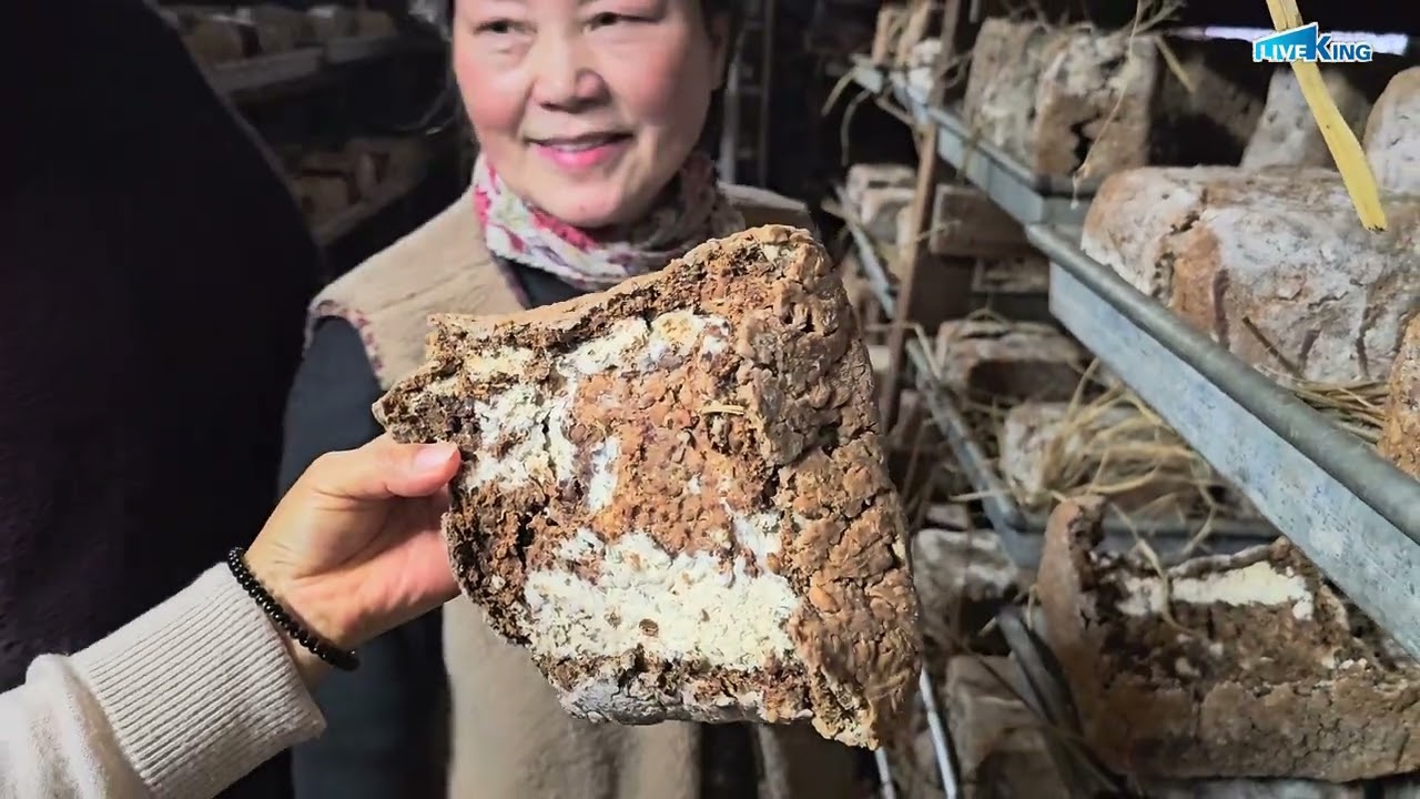 좋은 메주를 쪼개면 그 속이