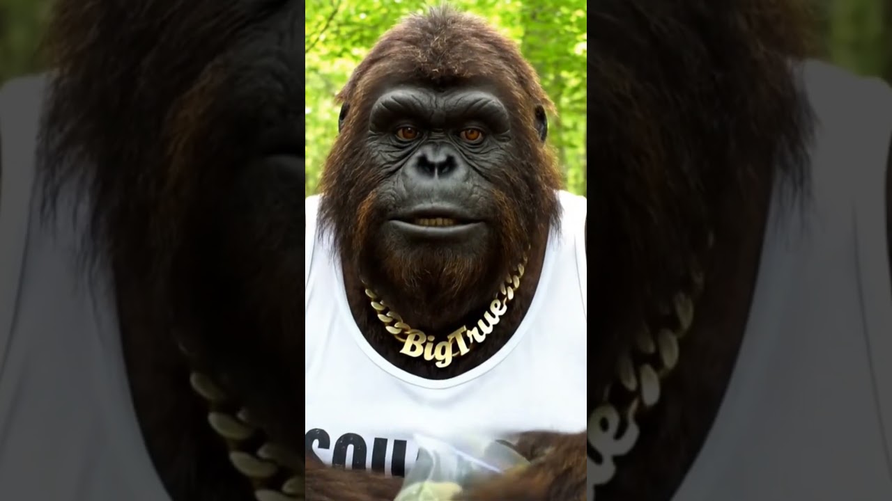 Bigfoot trying a new strain #shortsfeed #funny #bigfootvlog $$$$ Merch link is in my bio 🙏