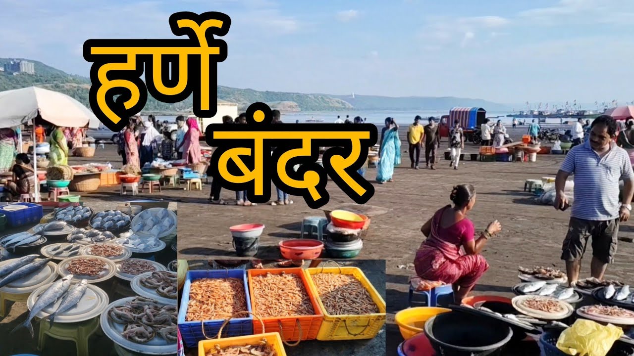 हर्णे बंदर येथील माश्यांचा लिलाव | Harne Fish Market and Auction @A_Raju#Kokan#Fishauction