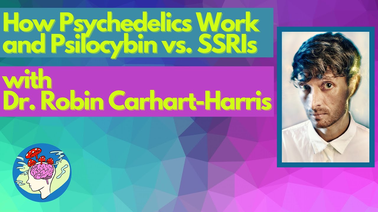 How Psychedelics Work w/ Dr. Robin Carhart-Harris